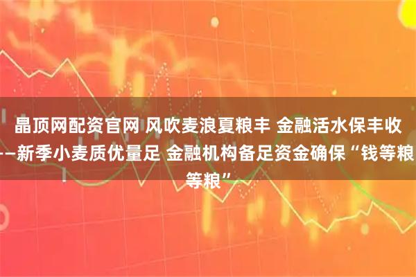 晶顶网配资官网 风吹麦浪夏粮丰 金融活水保丰收——新季小麦质优量足 金融机构备足资金确保“钱等粮”
